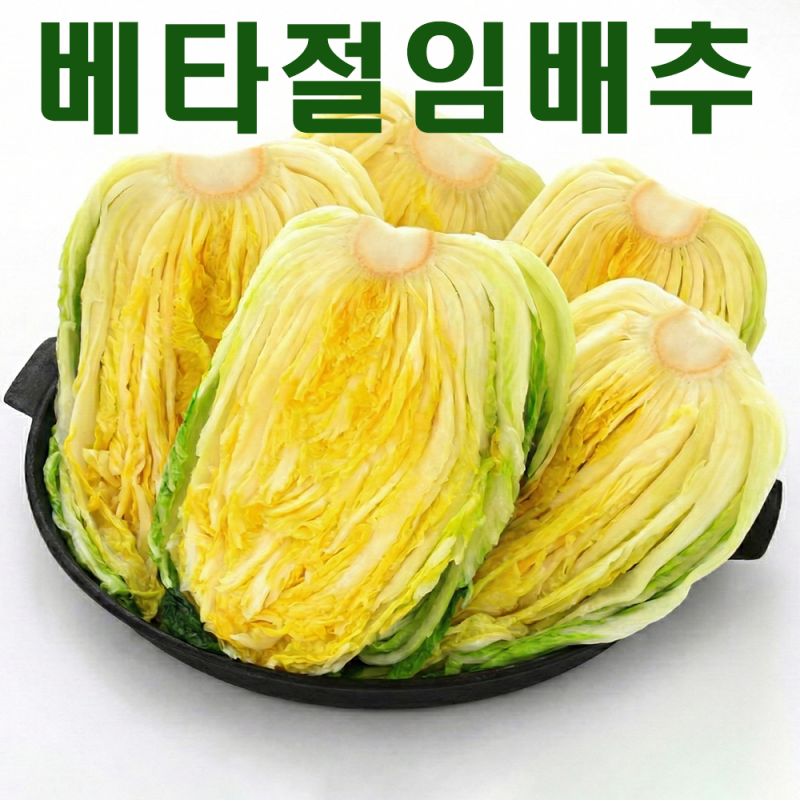 영월유팜,[영월유팜] 베타절임배추 20kg 영월절임배추 고랭지배추