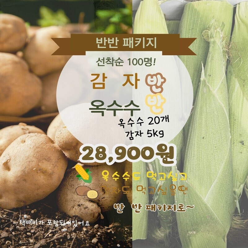 영월유팜,[예약] 반반패키지 찰옥수수 20개 감자 5kg[9월말배송]