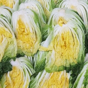 [영월유팜] 절임배추 10kg